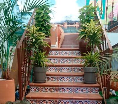 Viveros Sepúlveda - Jardines Villalba escalera con plantas