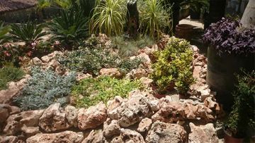 Viveros Sepúlveda - Jardines Villalba jardín y rocas